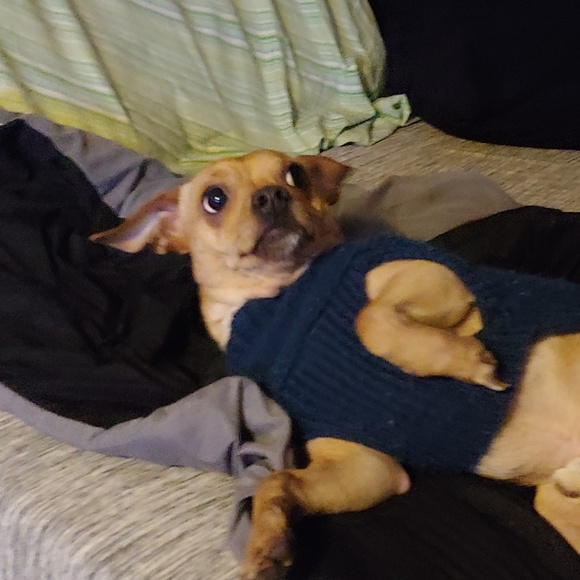 Meet your Posher, Carrie - Picture 5 of 6